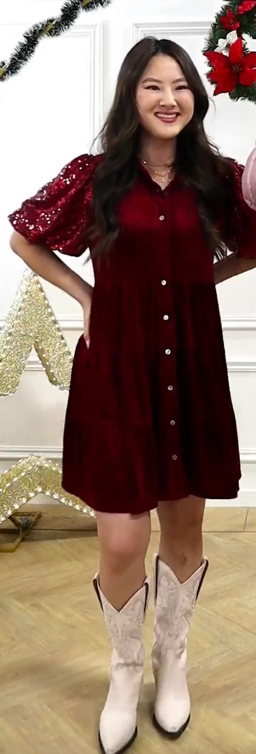 Ruby Velvet Sequin Dress